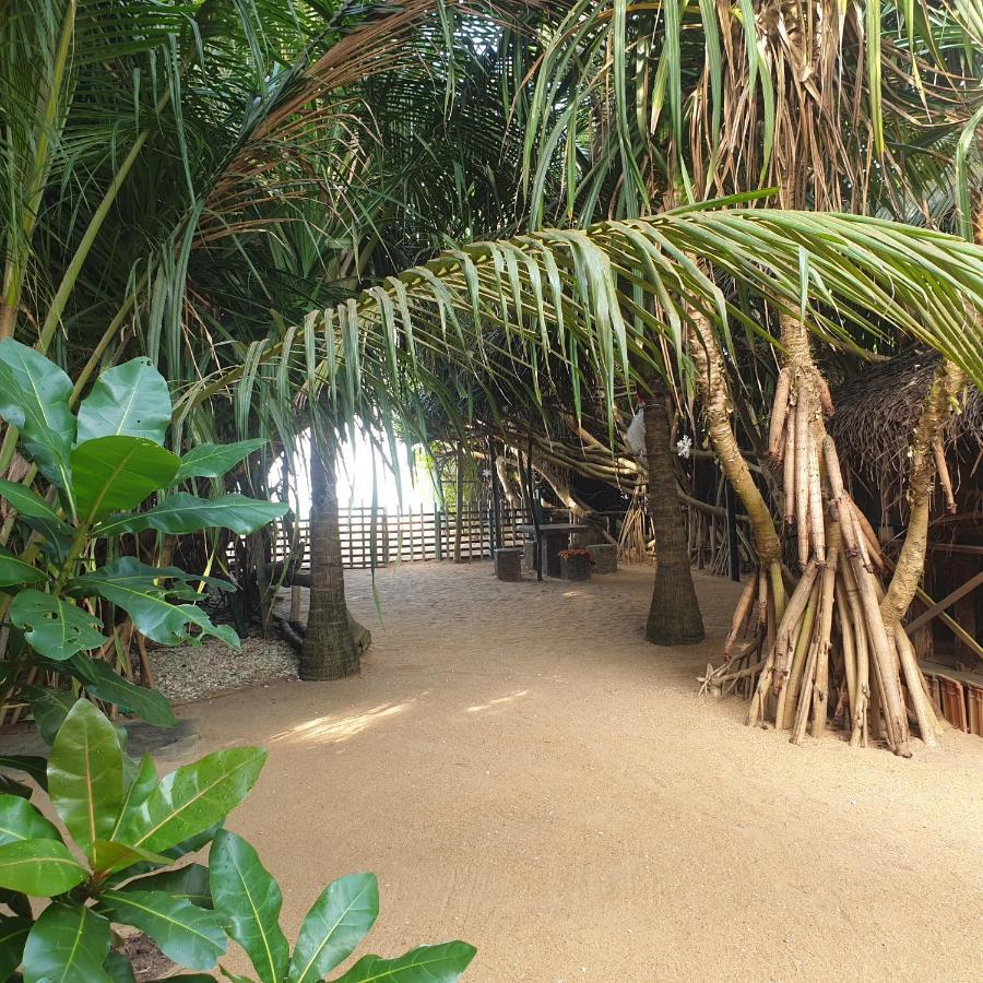 Happy Cocos Beach House Waskaduwa Exteriör bild